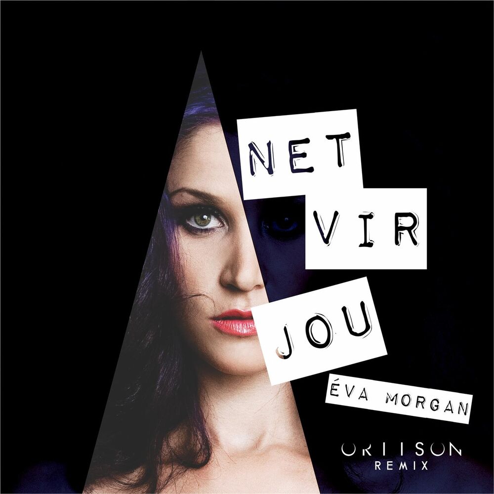 Picture of Net Vir Jou (Remix)