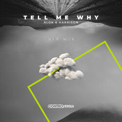 Cover of Tell Me Why (VIP Mix)