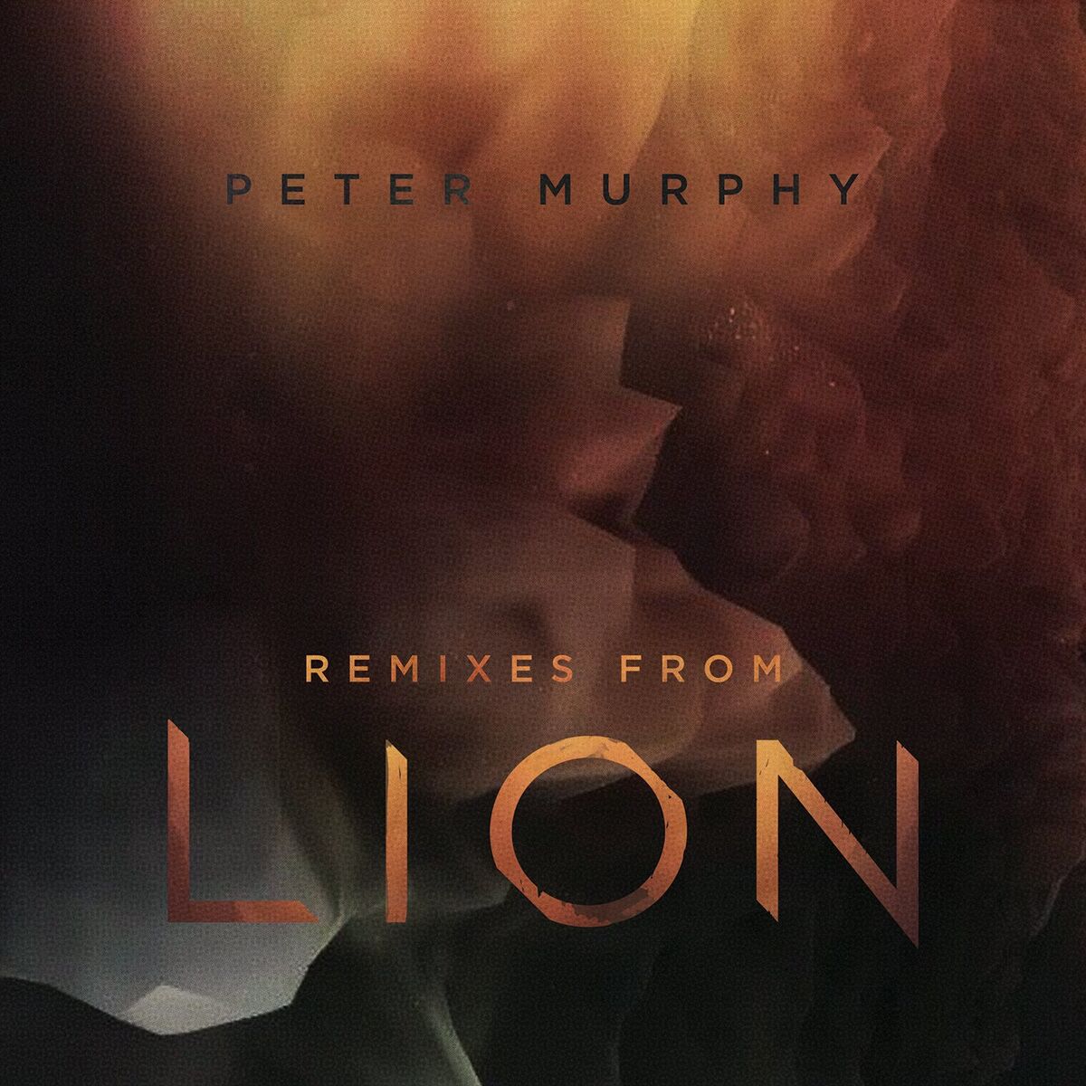 Album cover of Remixes from Lion