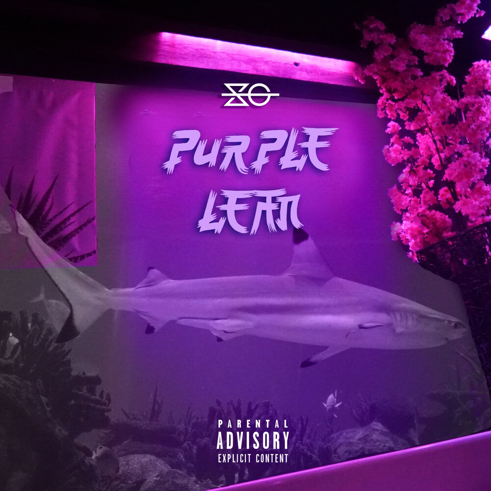 Picture of Purple Lean