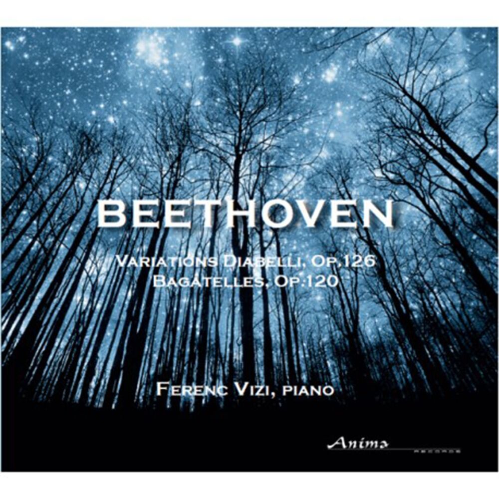 Picture of Beethoven