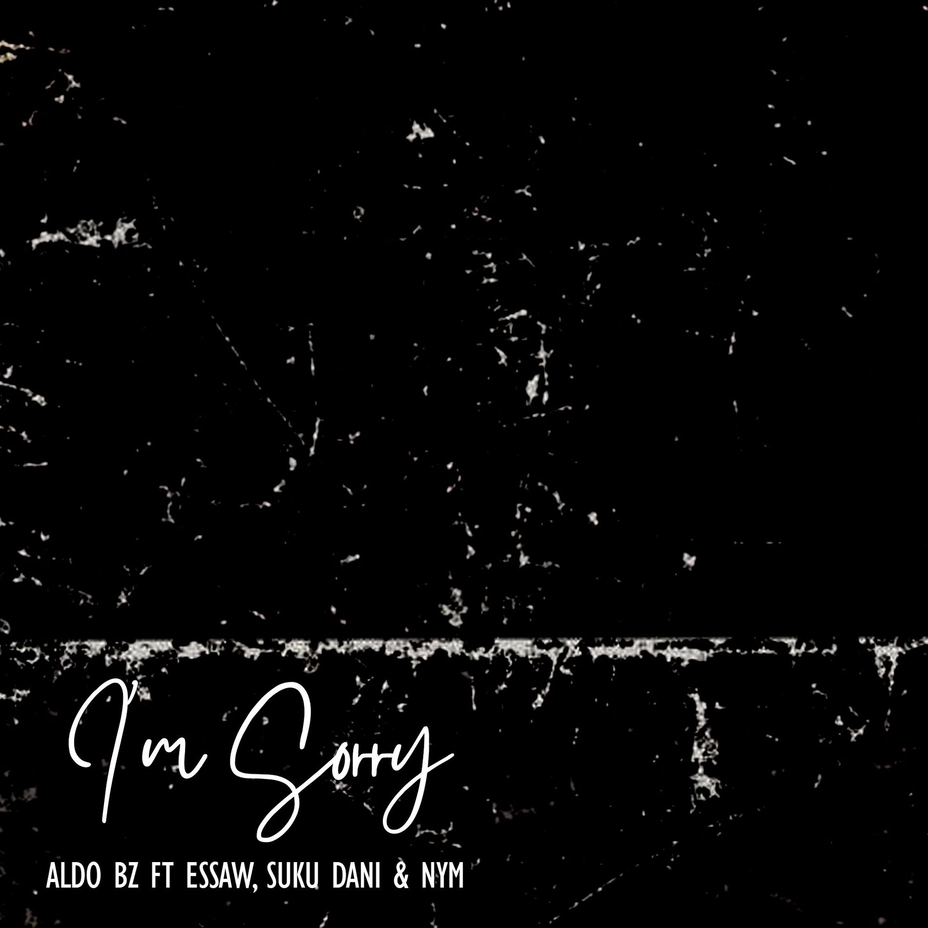 Album cover of I'm Sorry