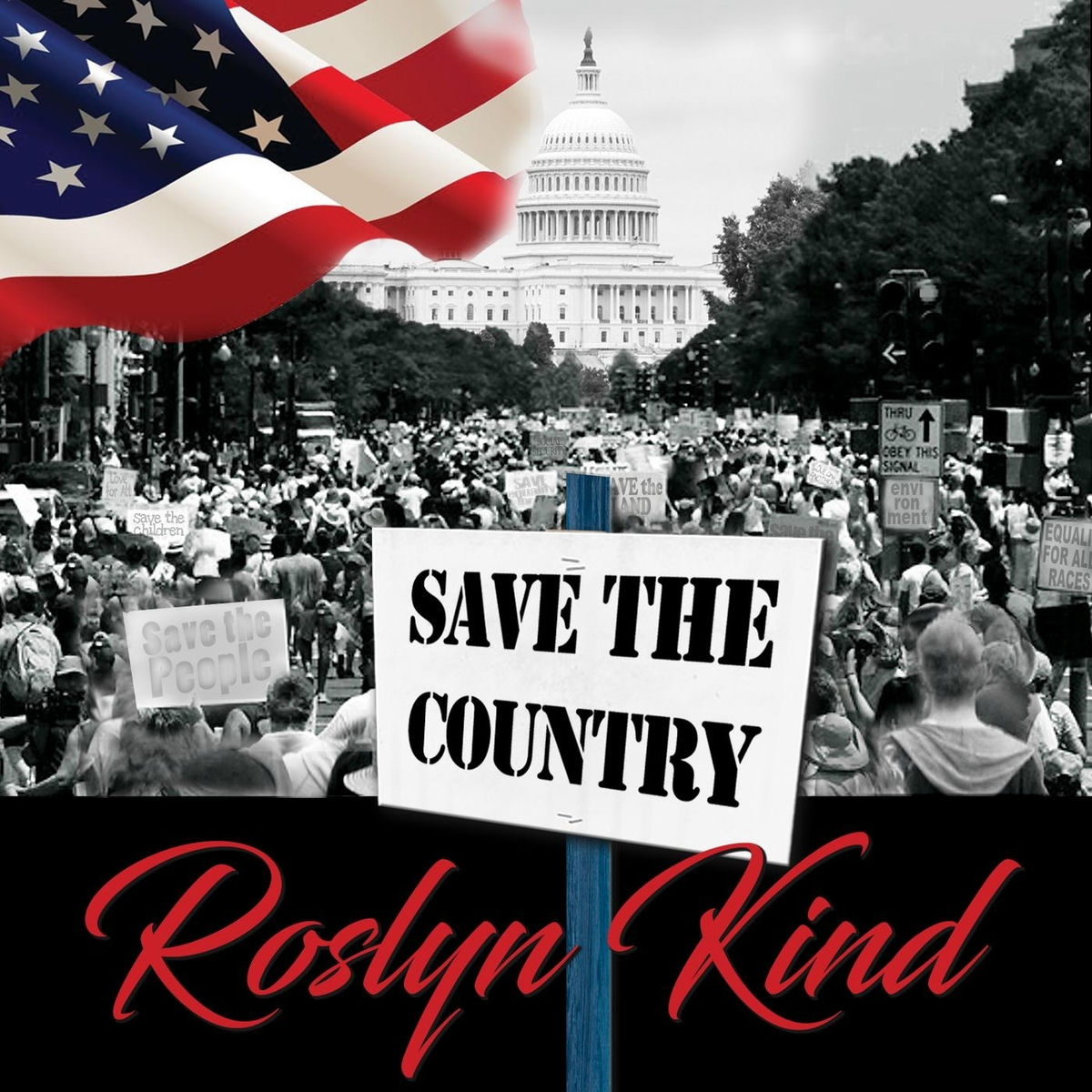 Album cover of Save the Country