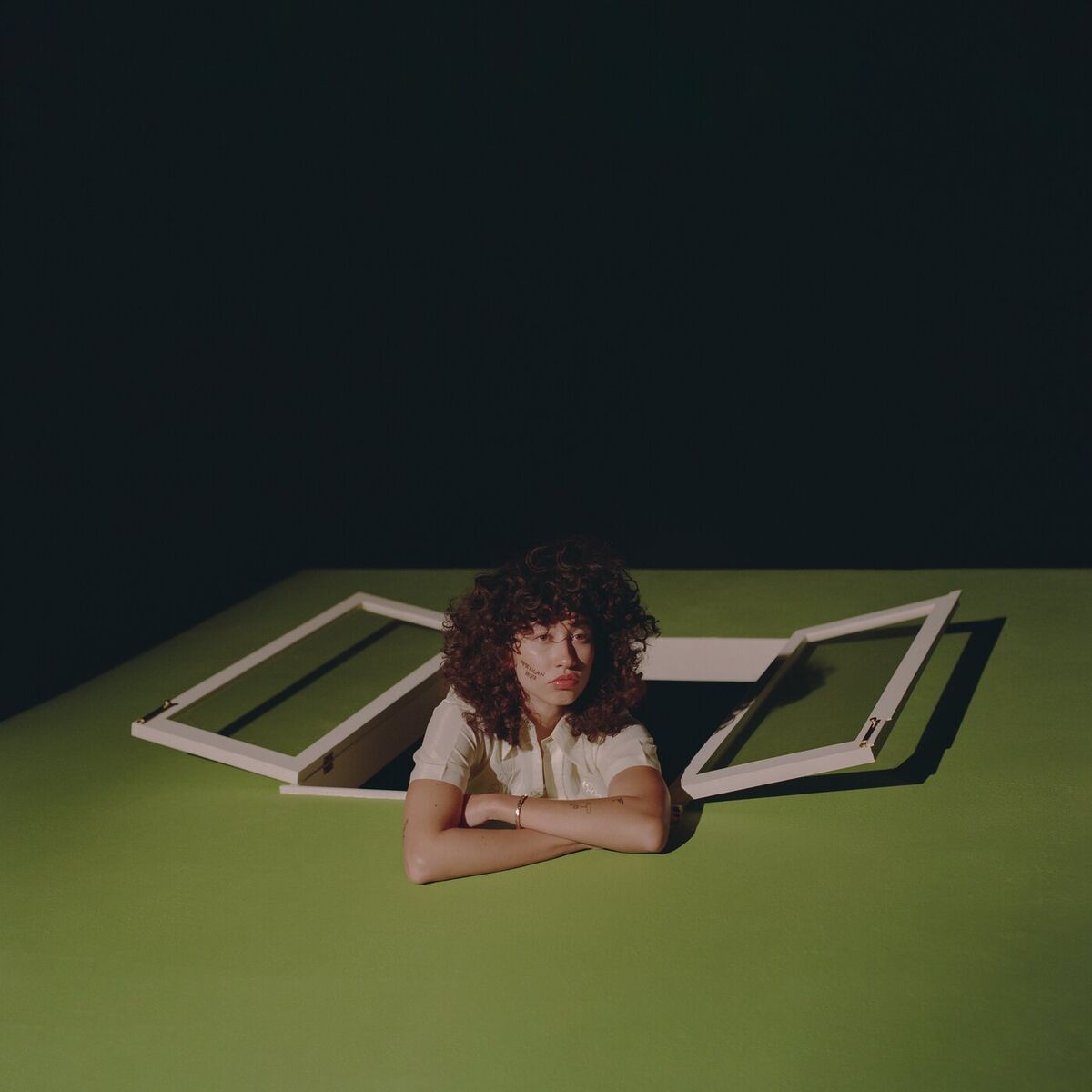 Album cover of American Hero