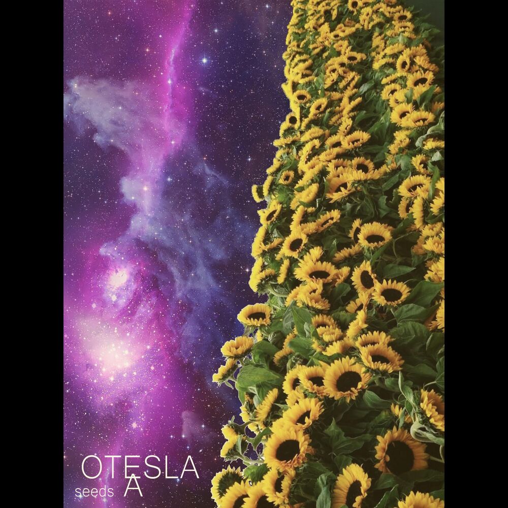 Picture of Seeds A
