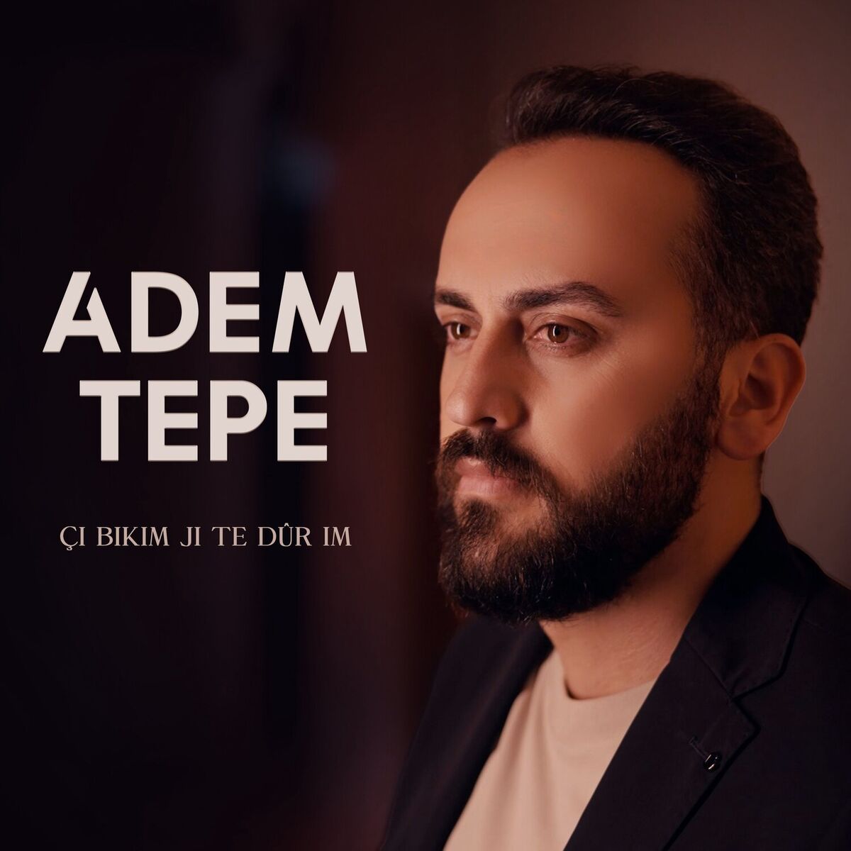 Album cover of Çi Bikim Ji Te Dûr im