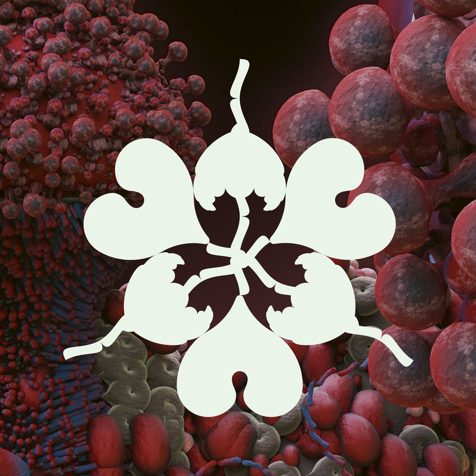 Album cover of Ovule (feat. Shygirl) [Sega Bodega Remix]