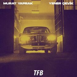 Cover of Gecelerime