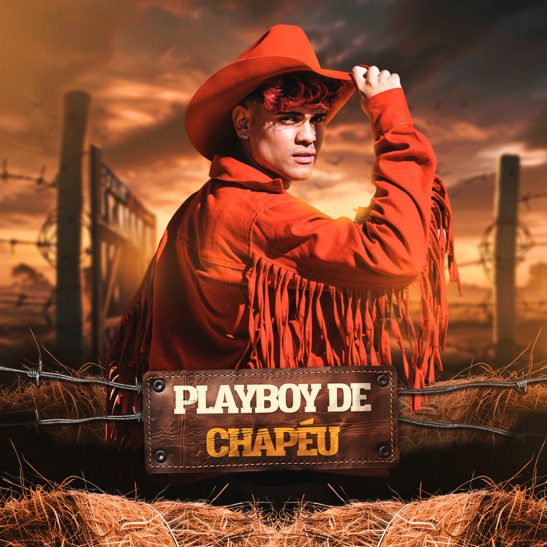 Album cover of Playboy de Chapéu