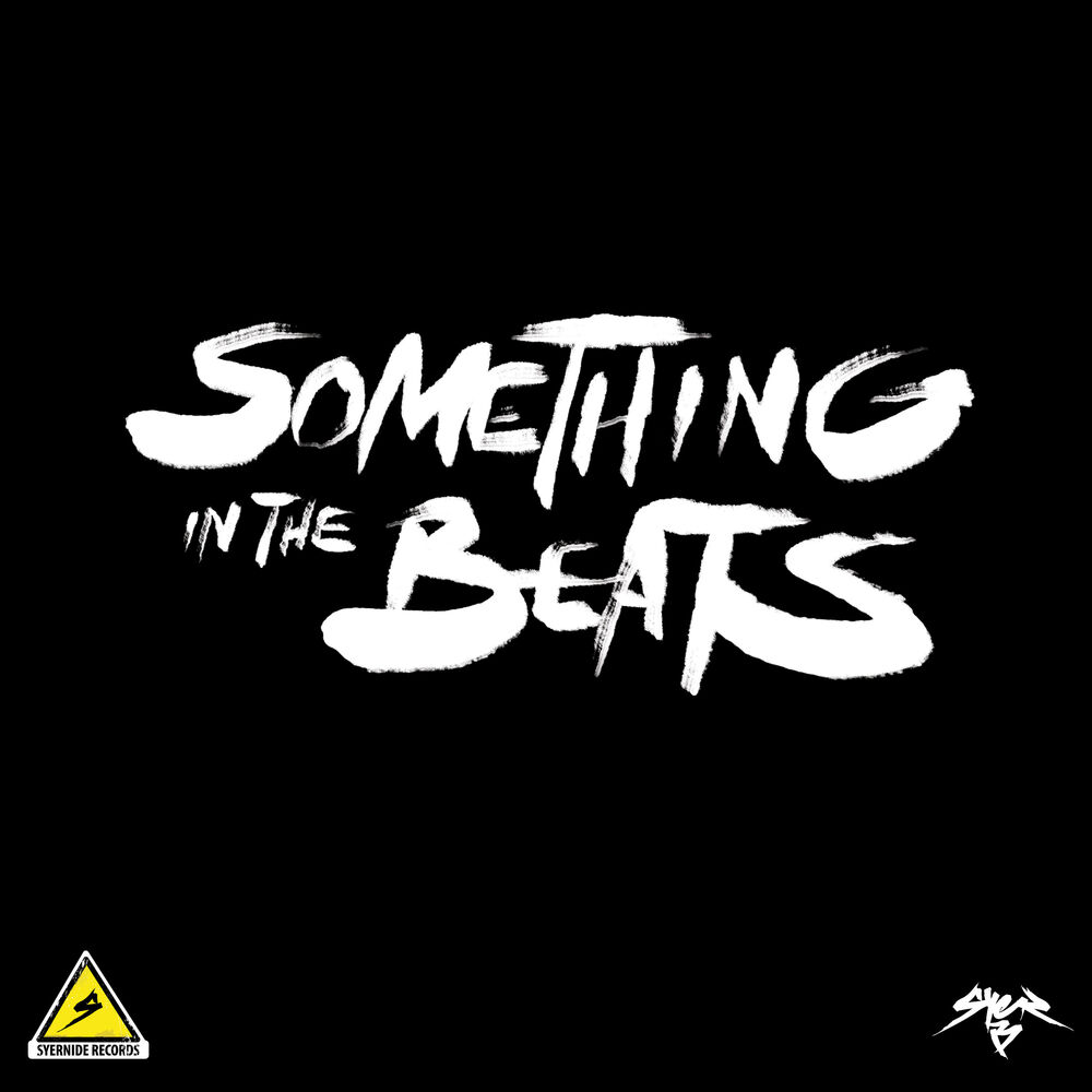 Picture of Something In The Beats