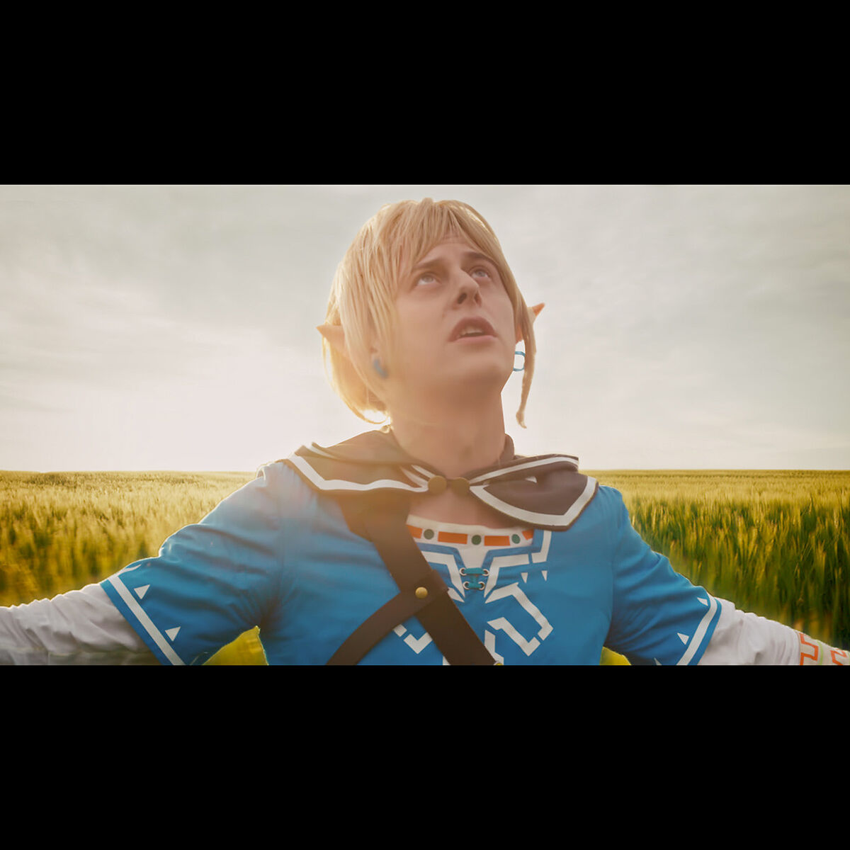 Album cover of Zelda