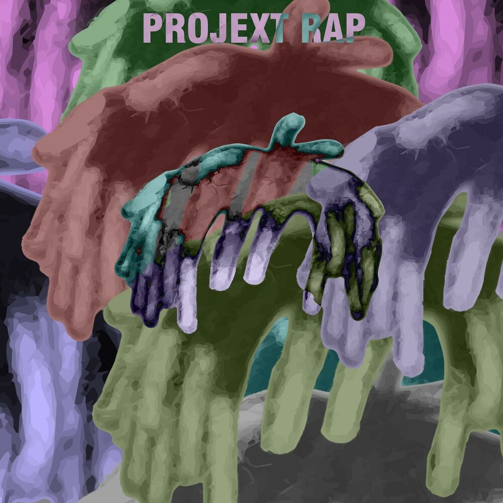 Picture of Projext Rap