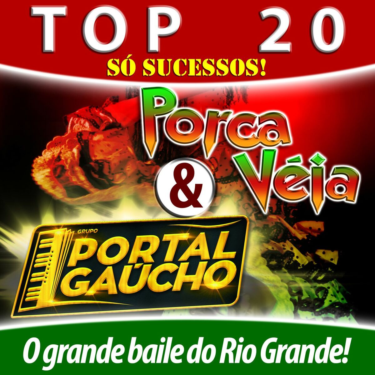 Album cover of Top 20 Só Sucessos - O Grande Baile do Rio Grande