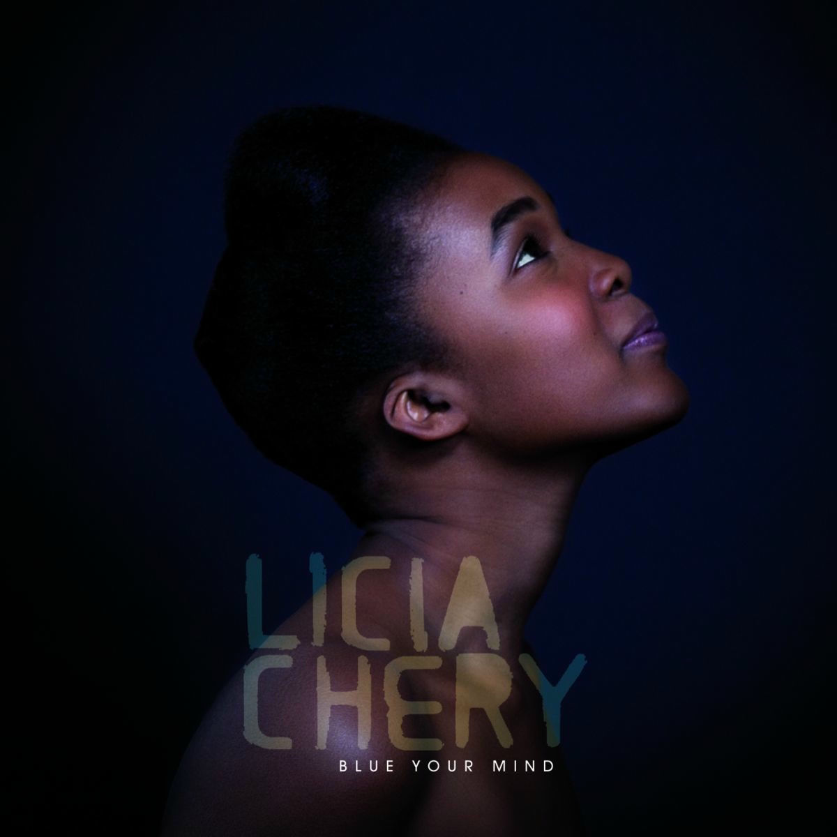 Album cover of I'm a Fool