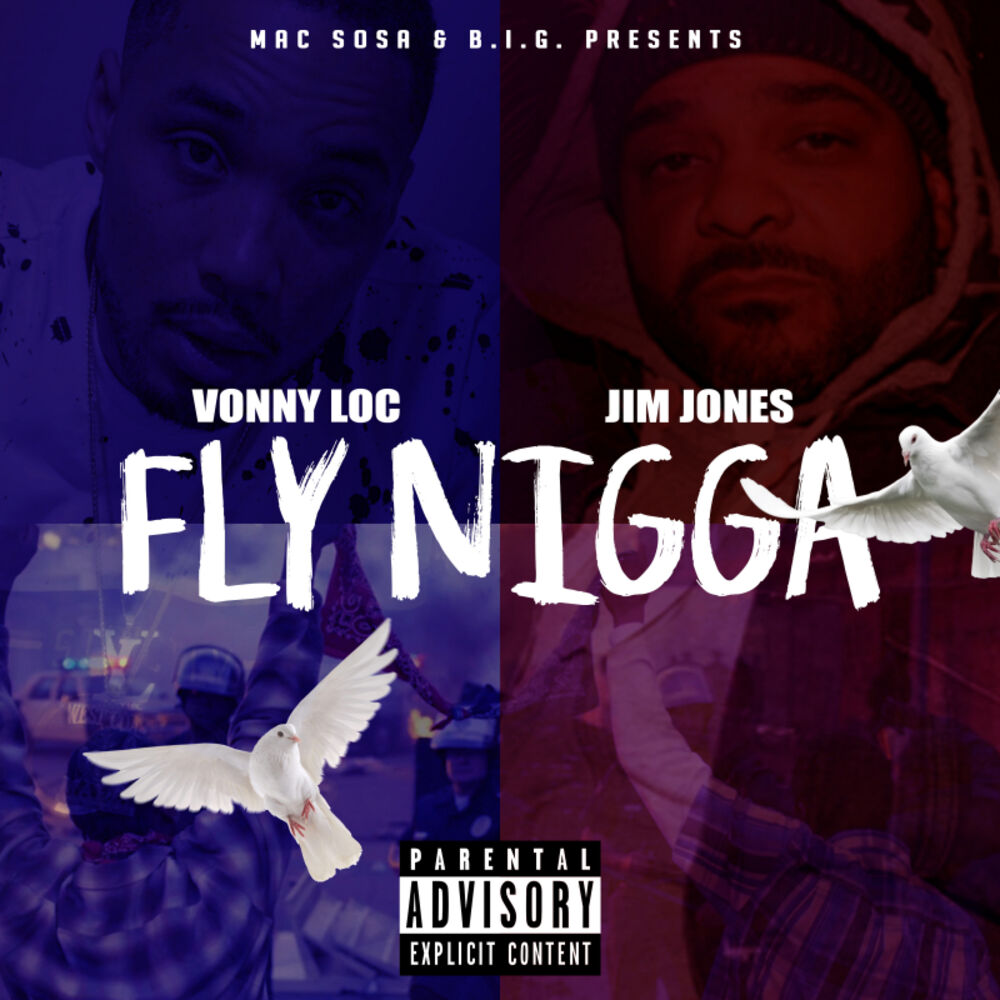 Picture of FLY NIGGA (feat. JIM JONES)