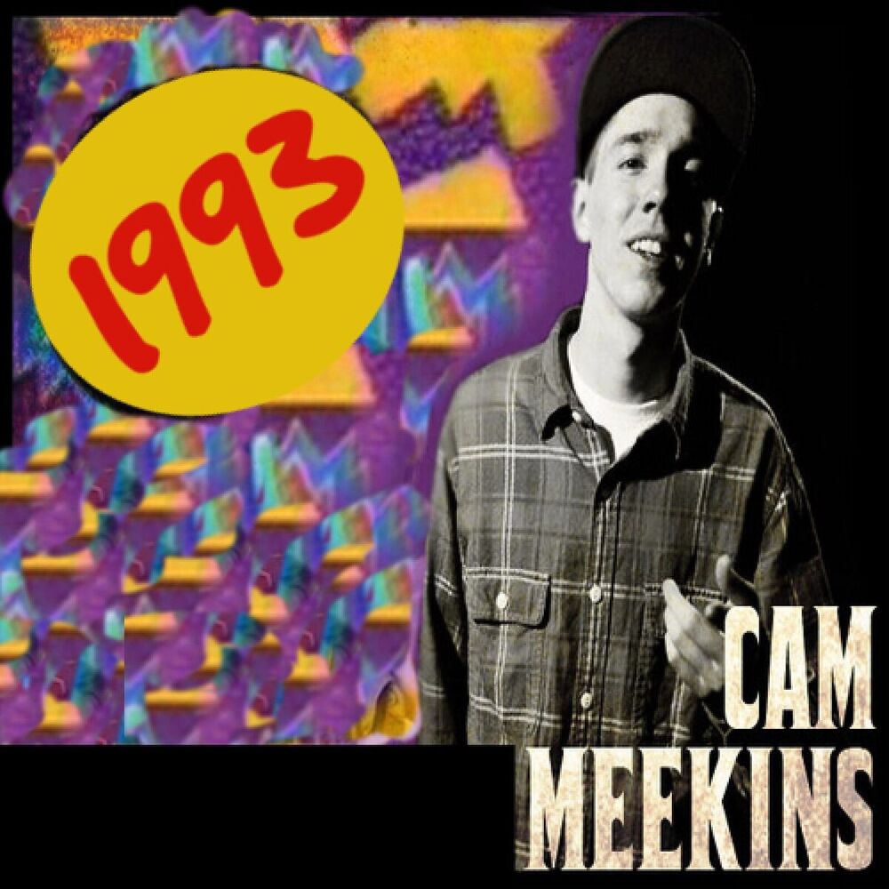 Picture of 1993