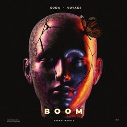 Cover of Boom