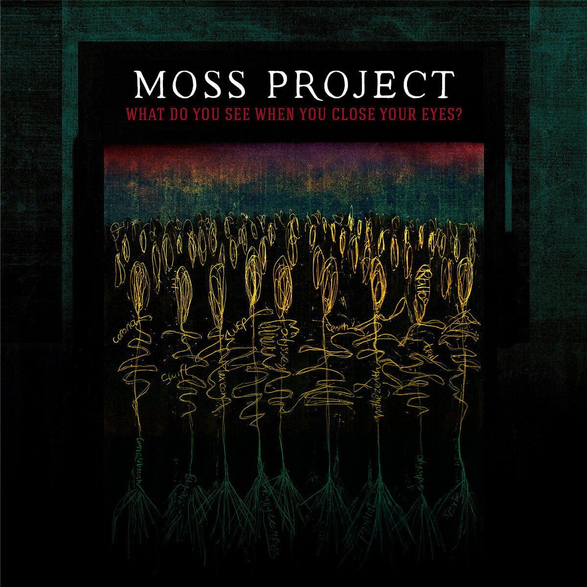 Album cover of What Do You See When You Close Your Eyes?