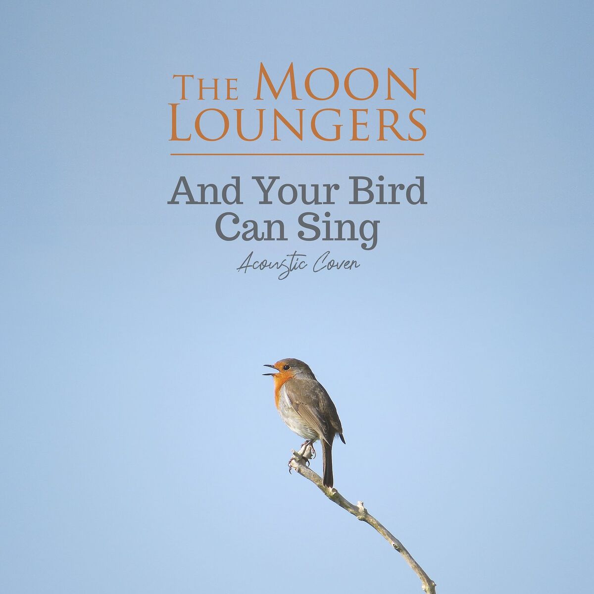 Album cover of And Your Bird Can Sing (Acoustic Cover)