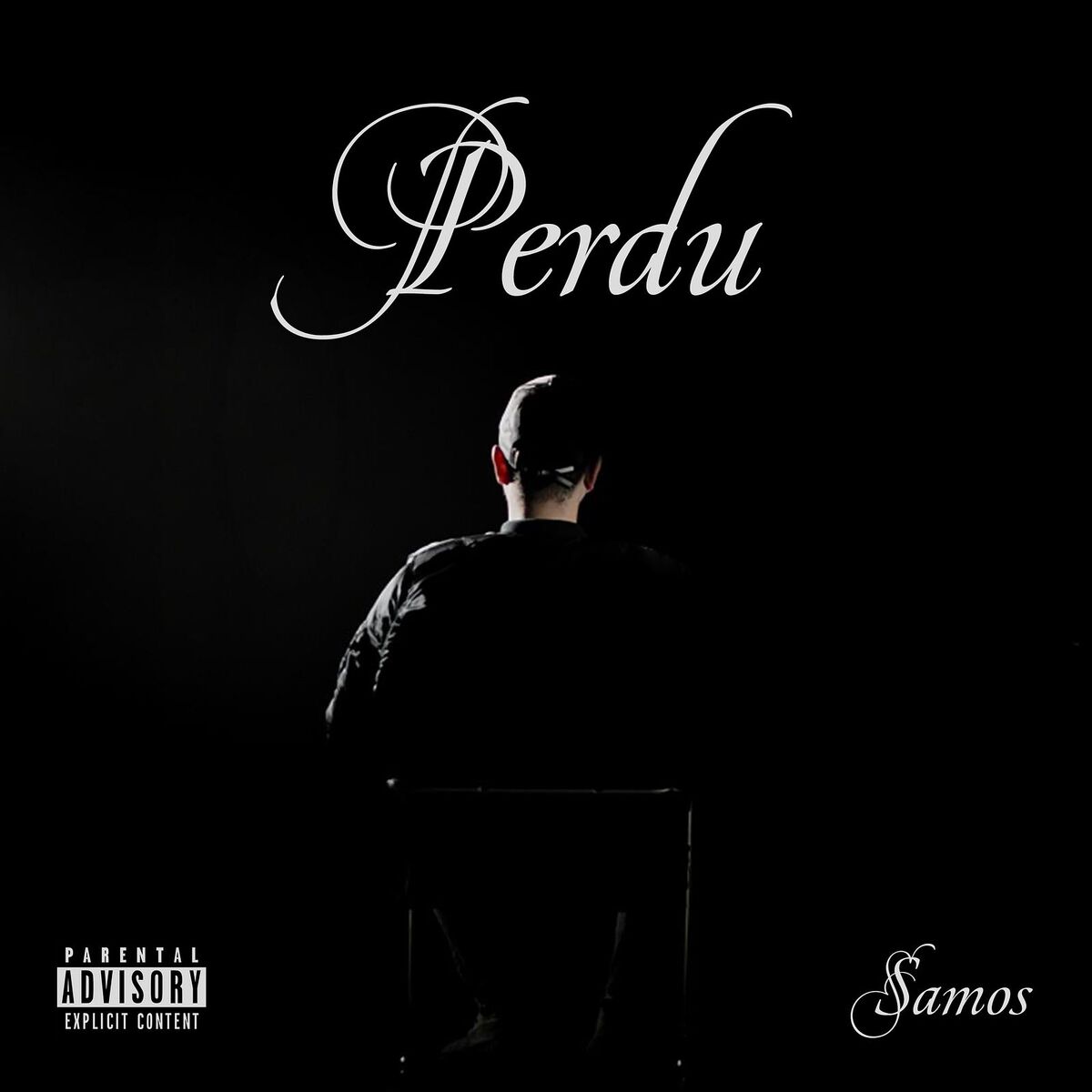 Album cover of PERDU