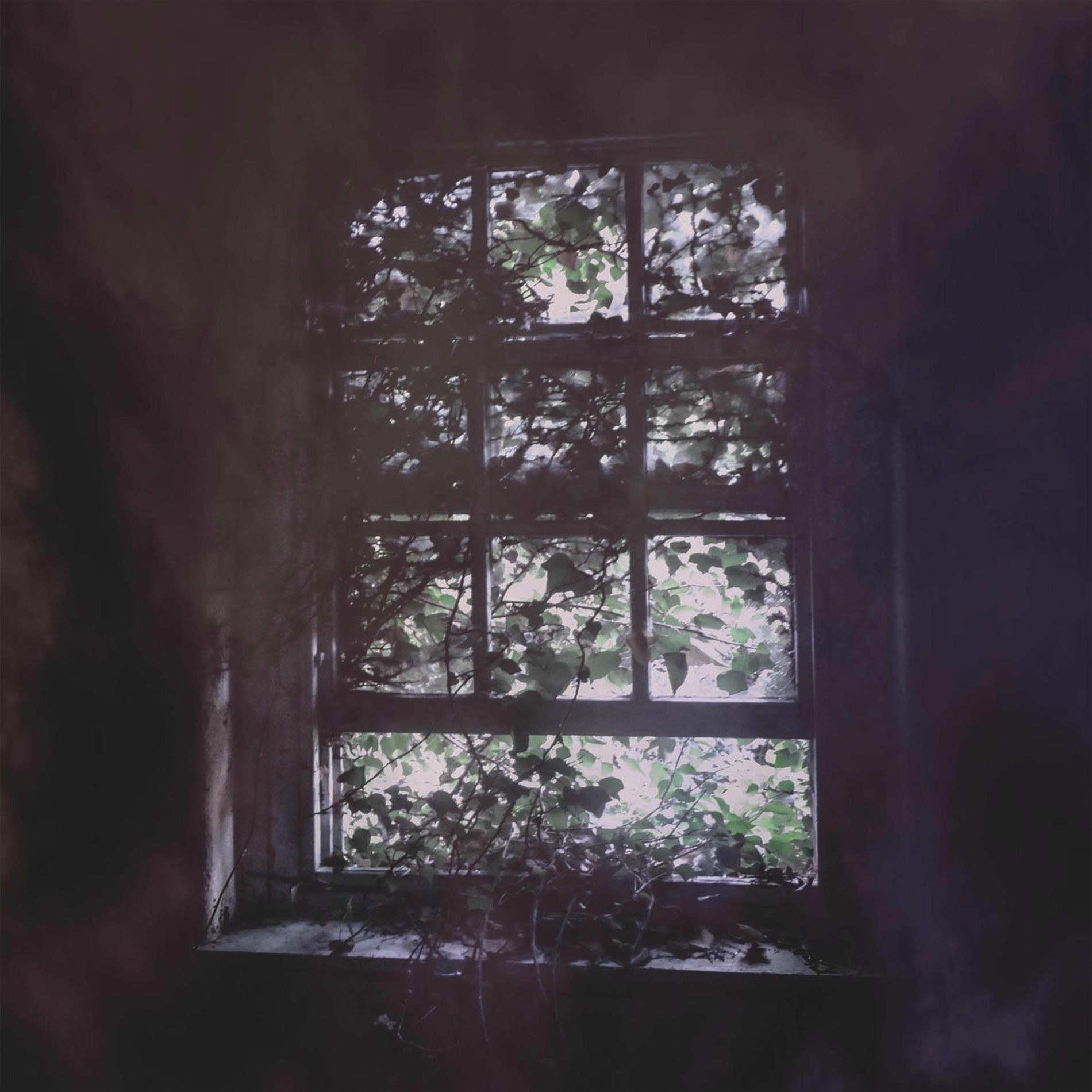 Album cover of Desilusión (f)