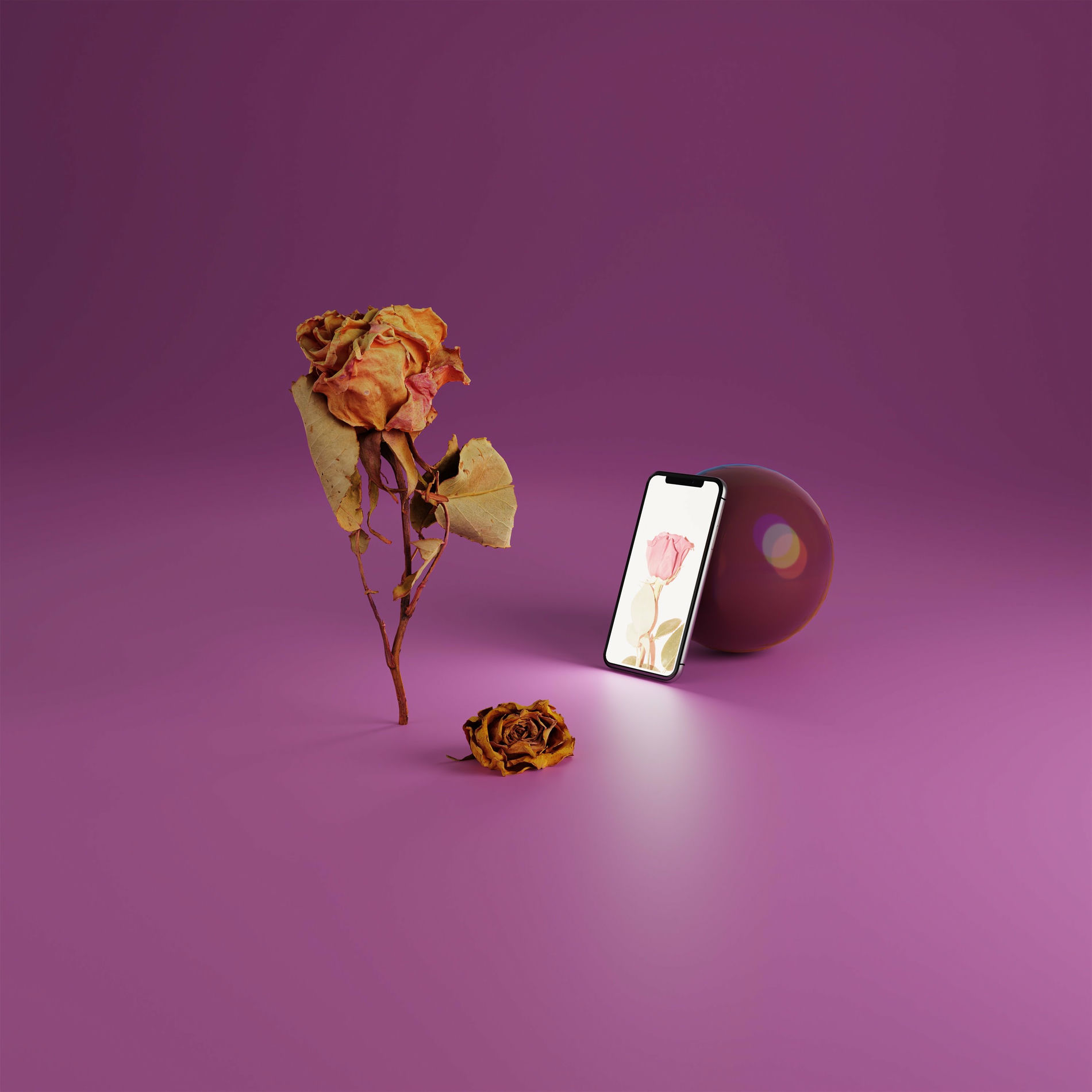 Album cover of Nowhere Left to Grow