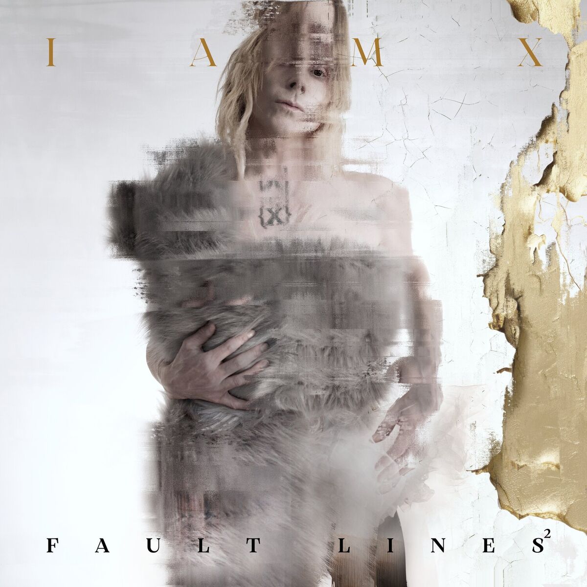 Album cover of Fault Lines²