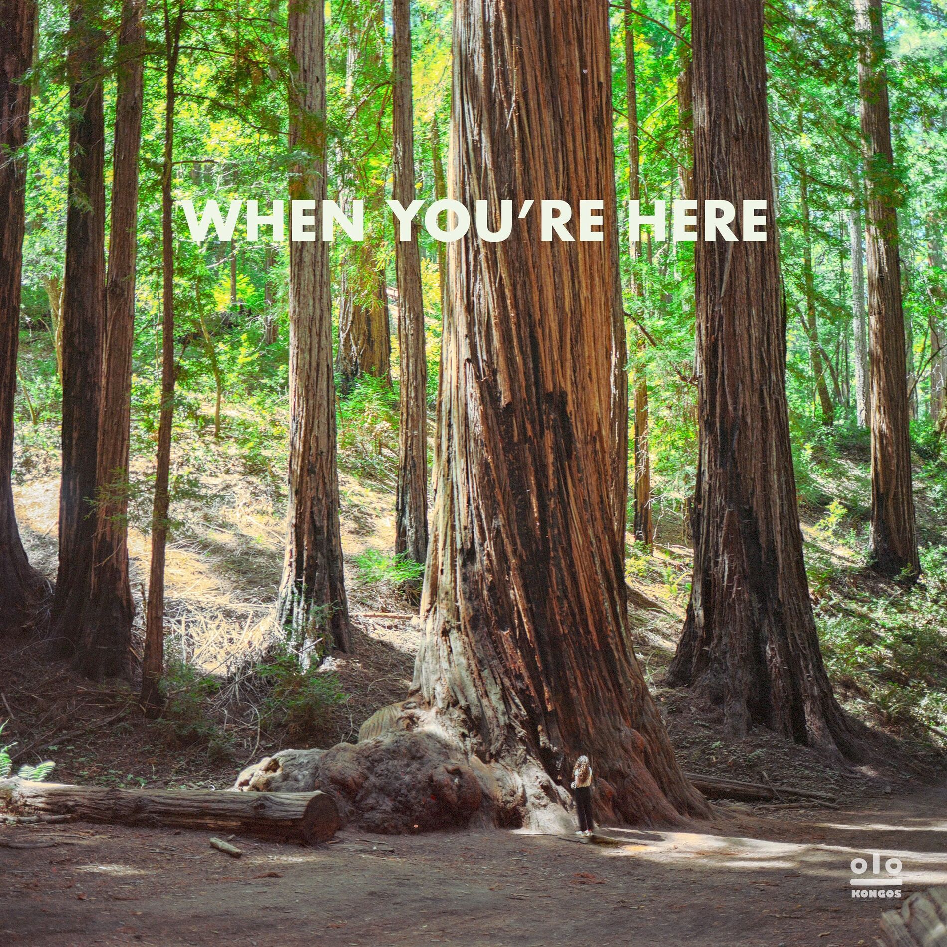 Album cover of When You're Here (In-Studio Live)
