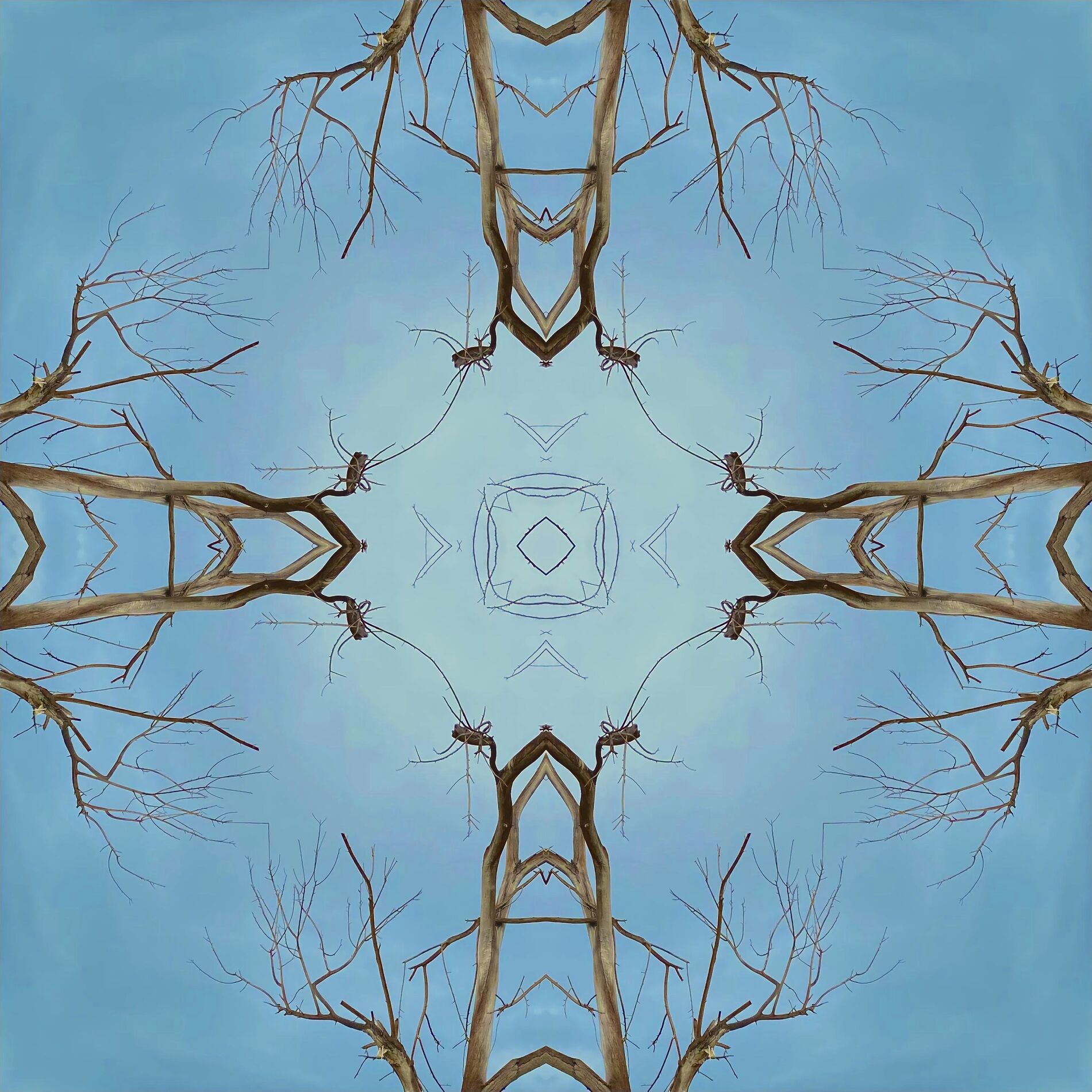 Album cover of Consanguineous