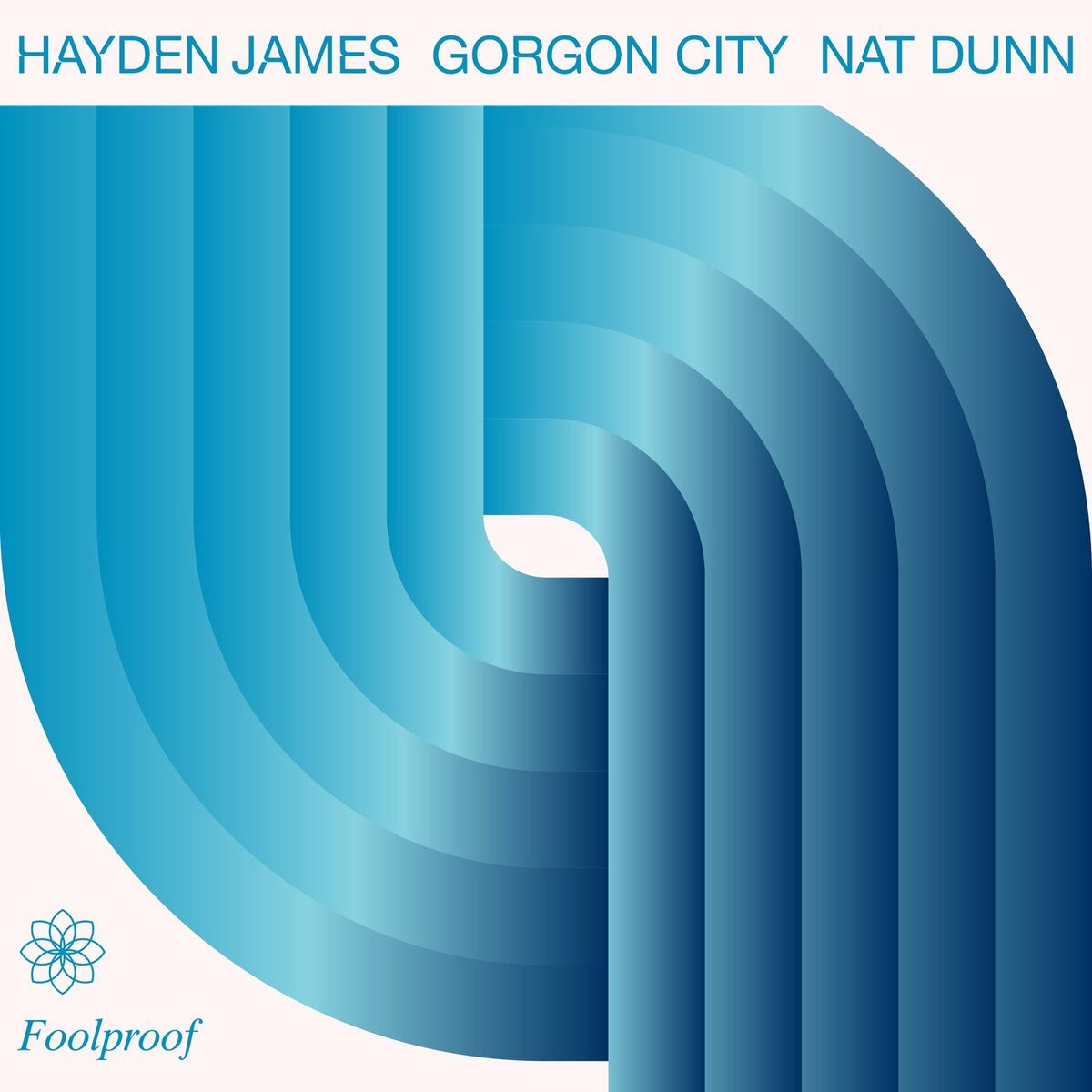 Album cover of Foolproof