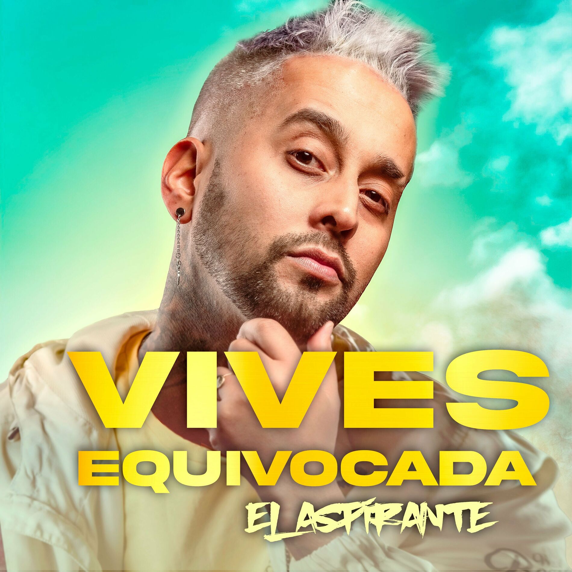 Album cover of Vives Equivocada