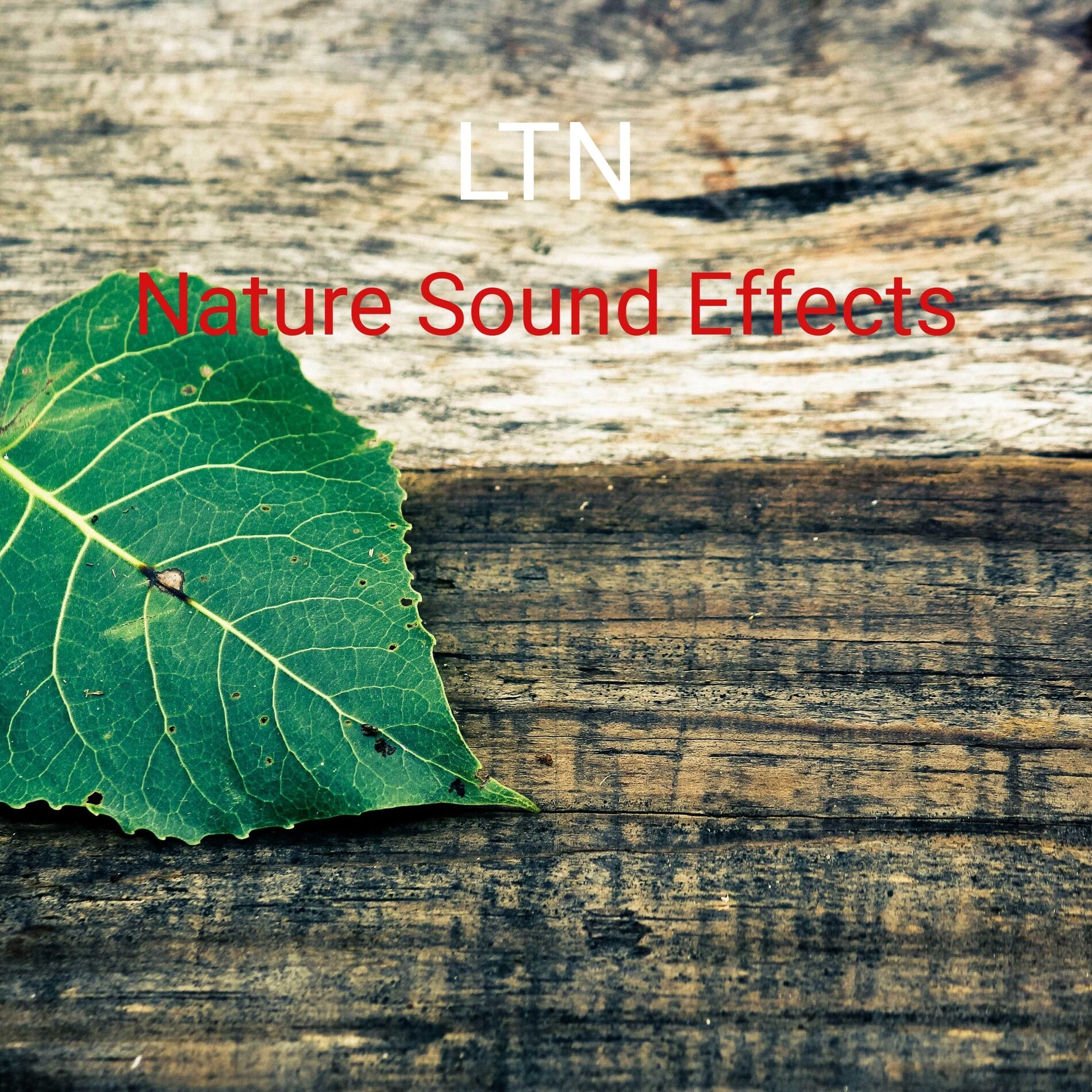 Album cover of Nature Sound Effects