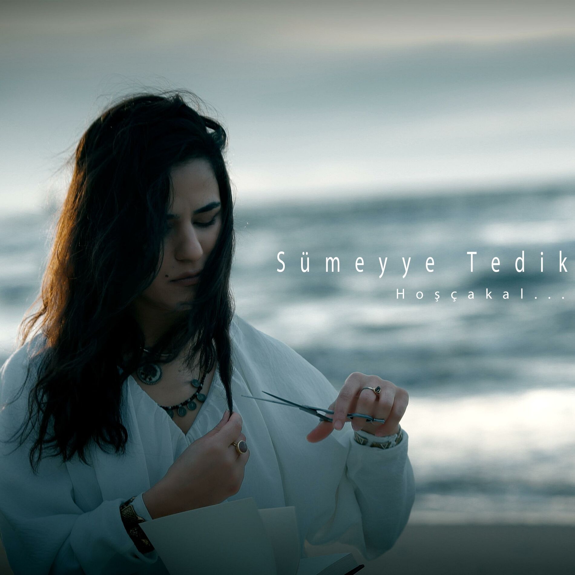 Album cover of Hoşçakal