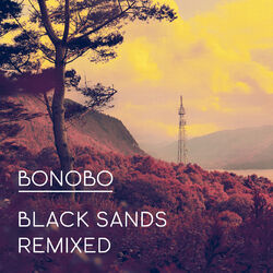 Cover of Black Sands Remixed