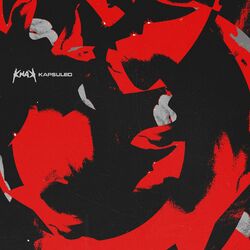 Cover of Kapsuleo