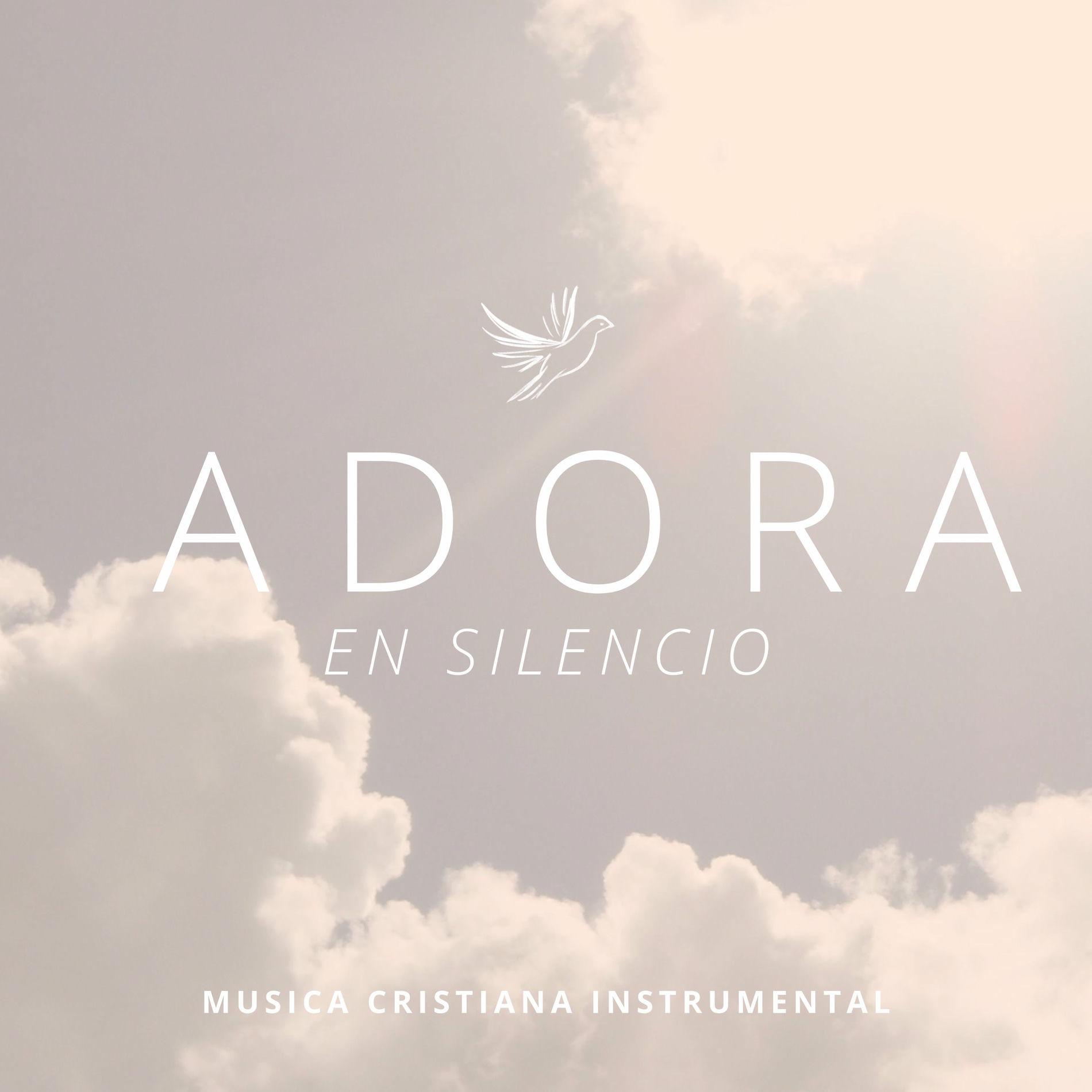 Album cover of Adora en Silencio