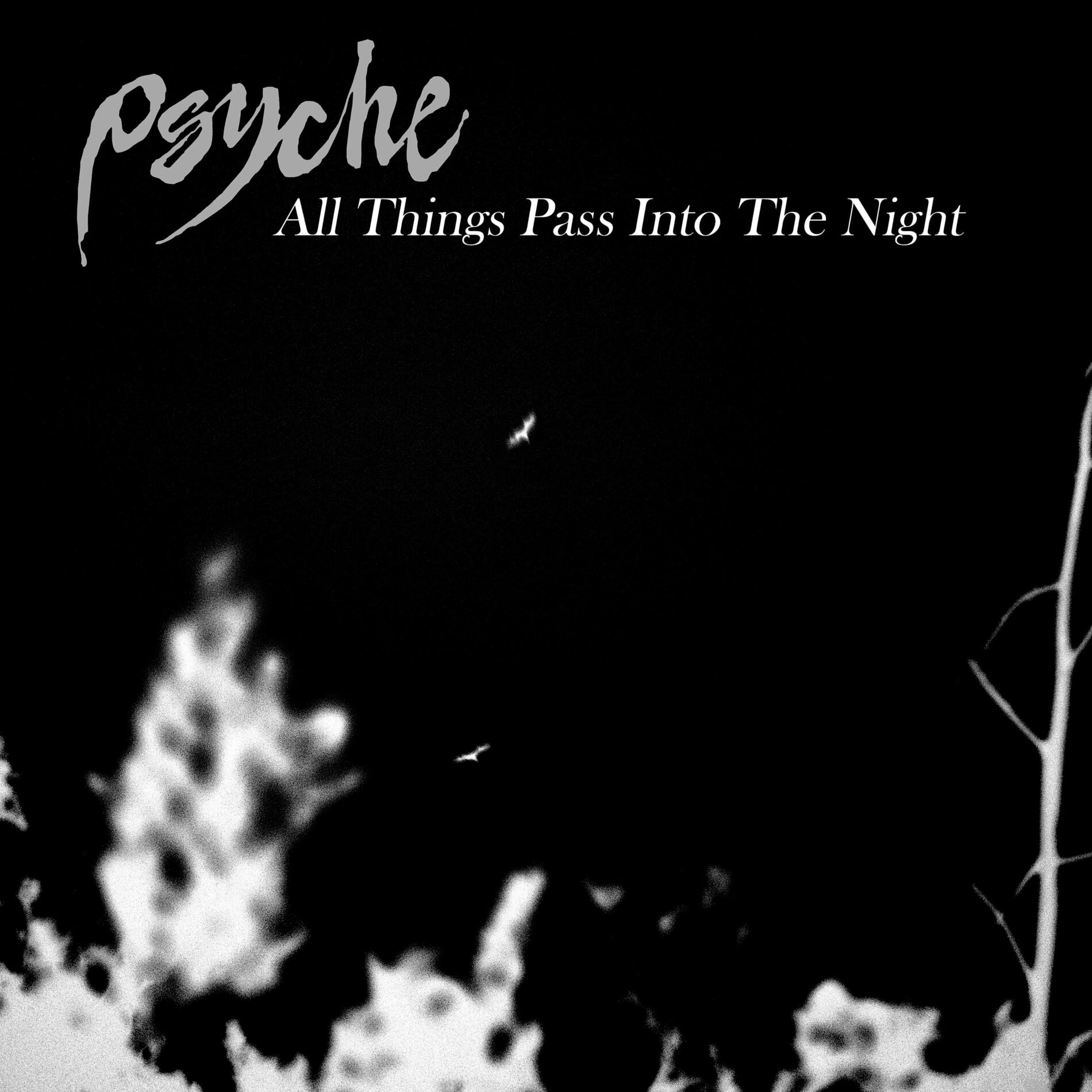 Album cover of All Things Pass Into The Night