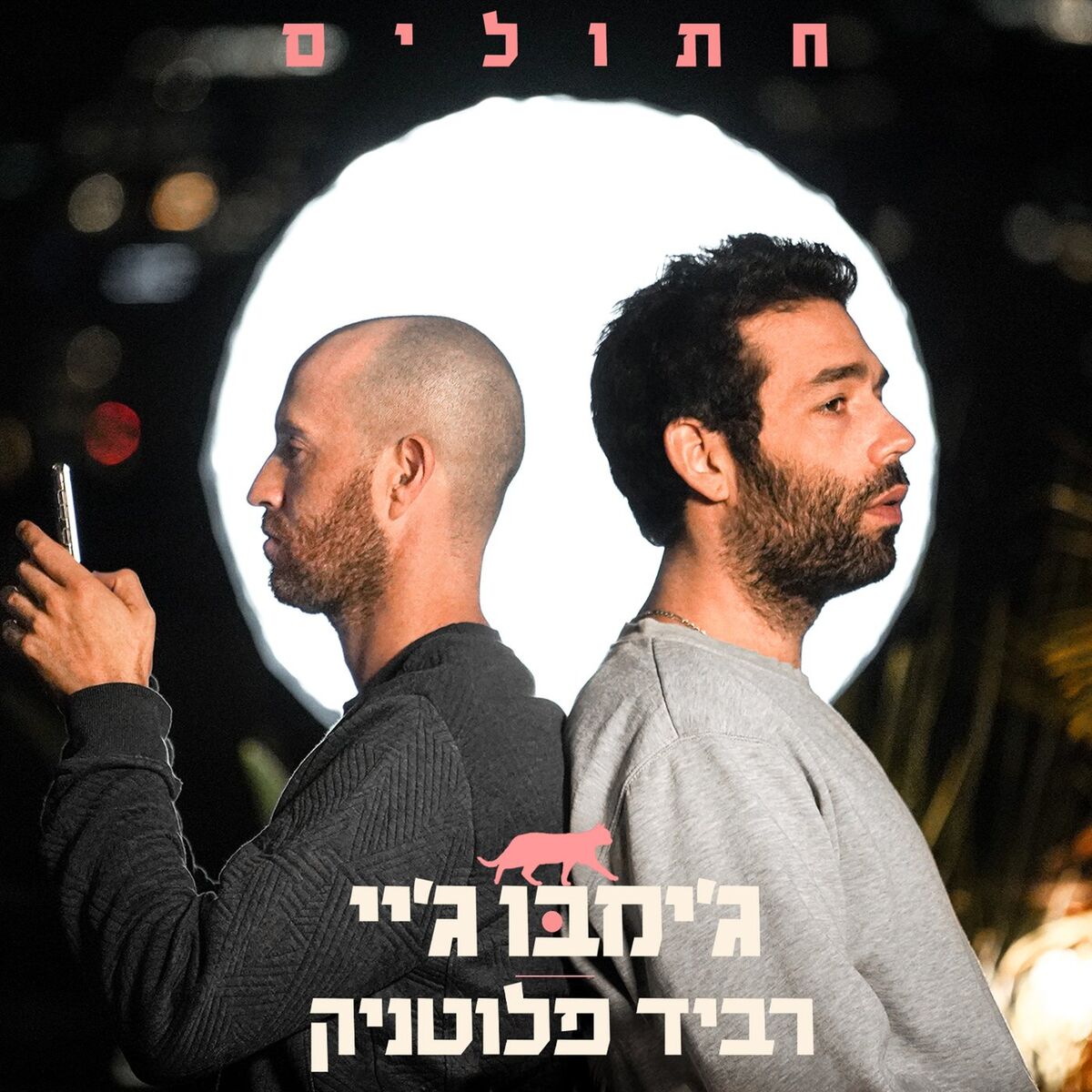 Album cover of חתולים