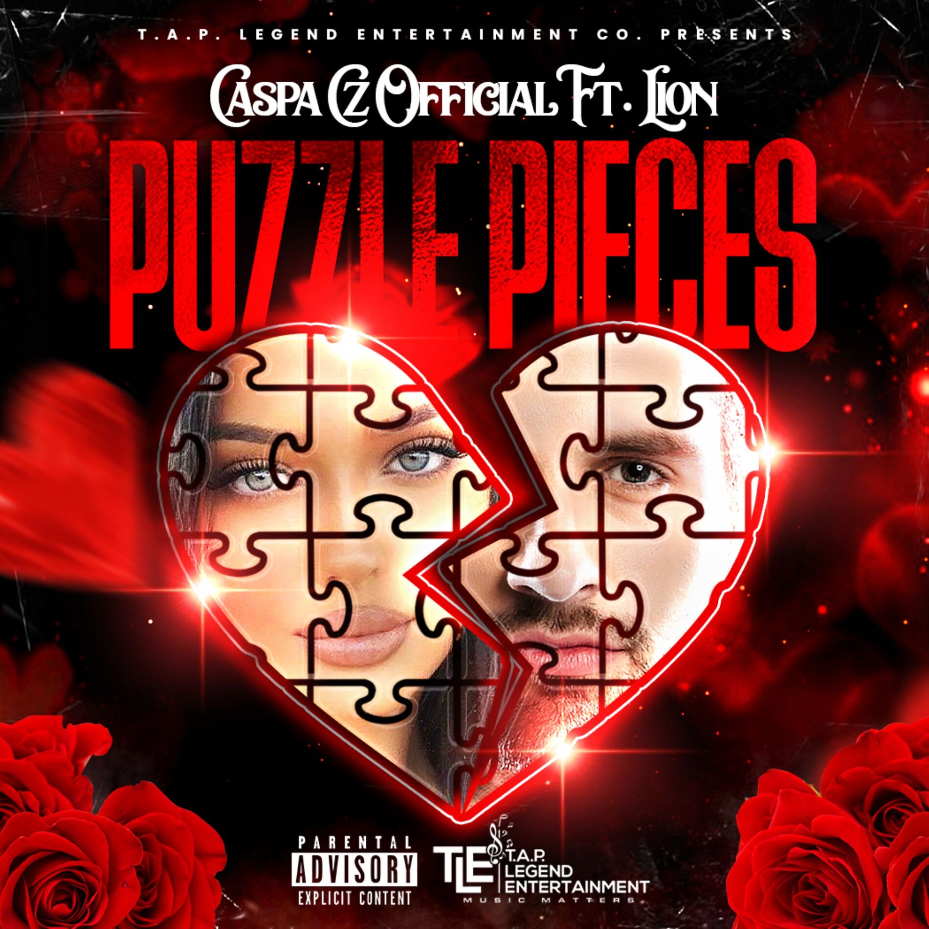 Album cover of Puzzle Pieces