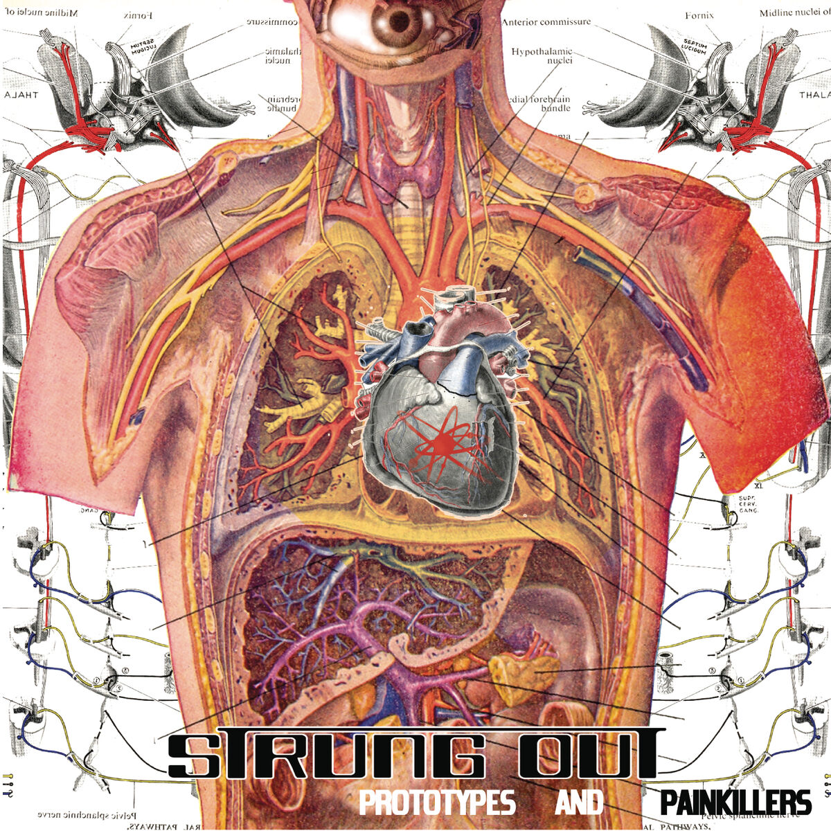 Album cover of Prototypes And Painkillers