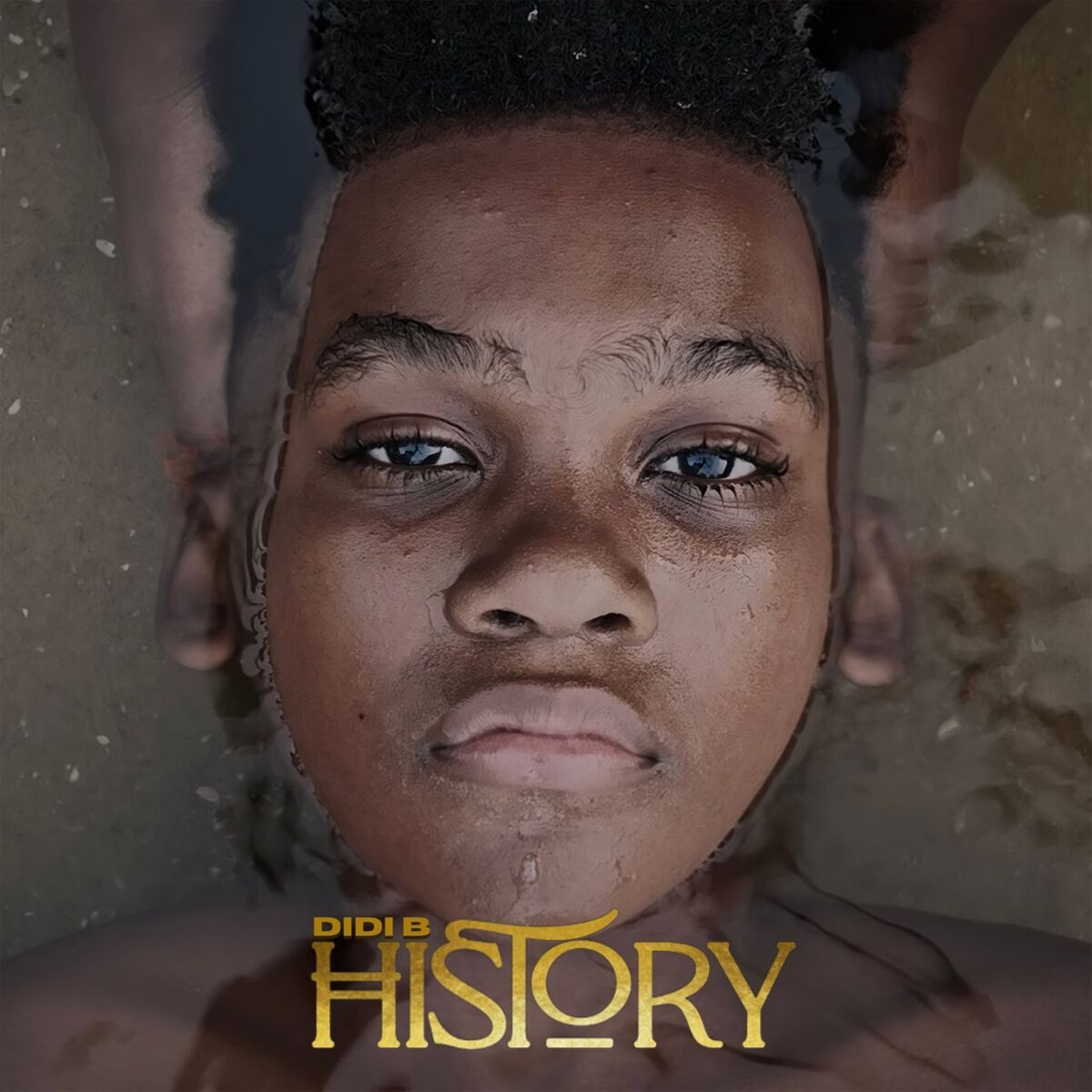 Album cover of History