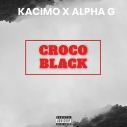 Croco black