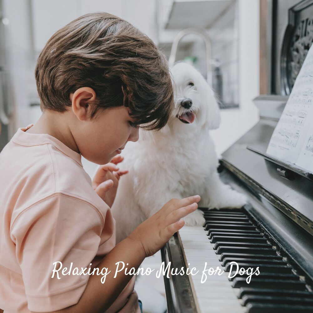 Picture of Relaxing Piano Music for Dogs