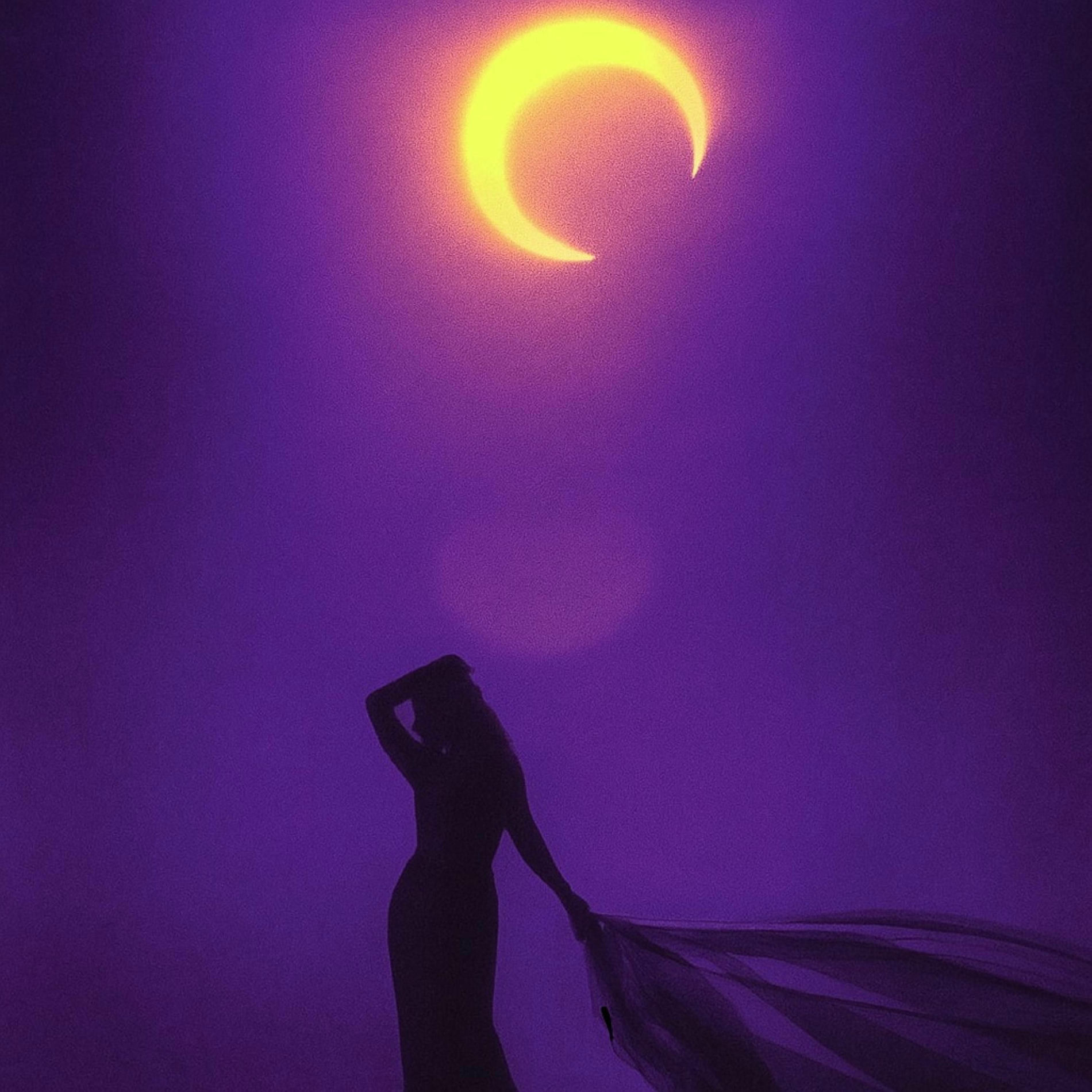 Album cover of DESI FLARE (slowed)