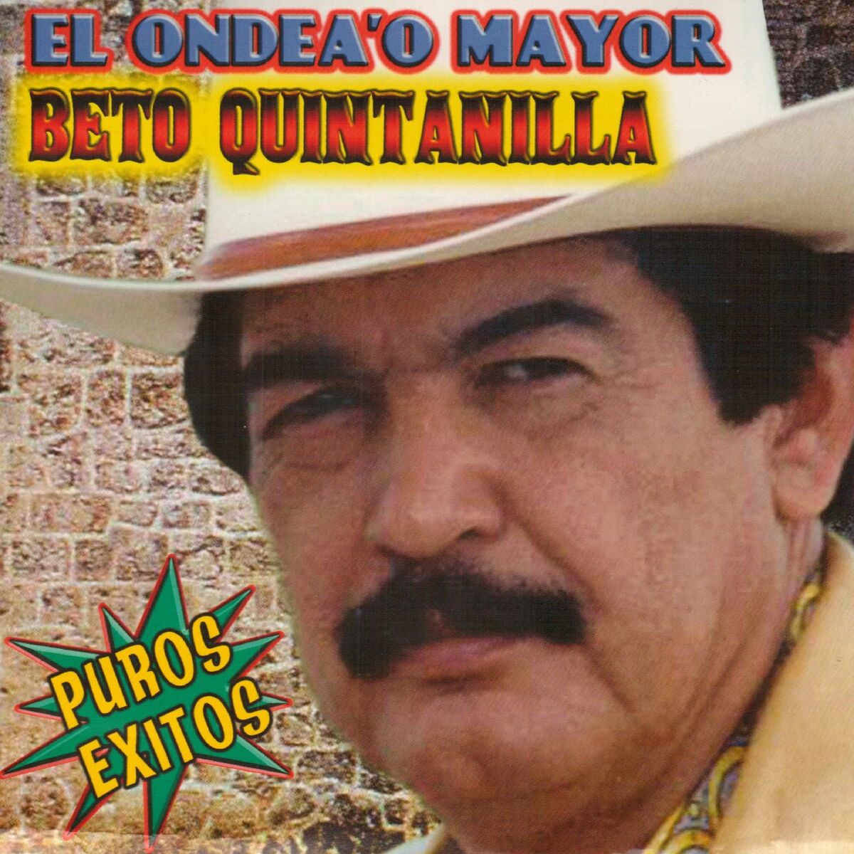 Album cover of Puros Exitos