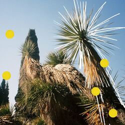 Cover of Pinie (Sébastien Léger Remix)