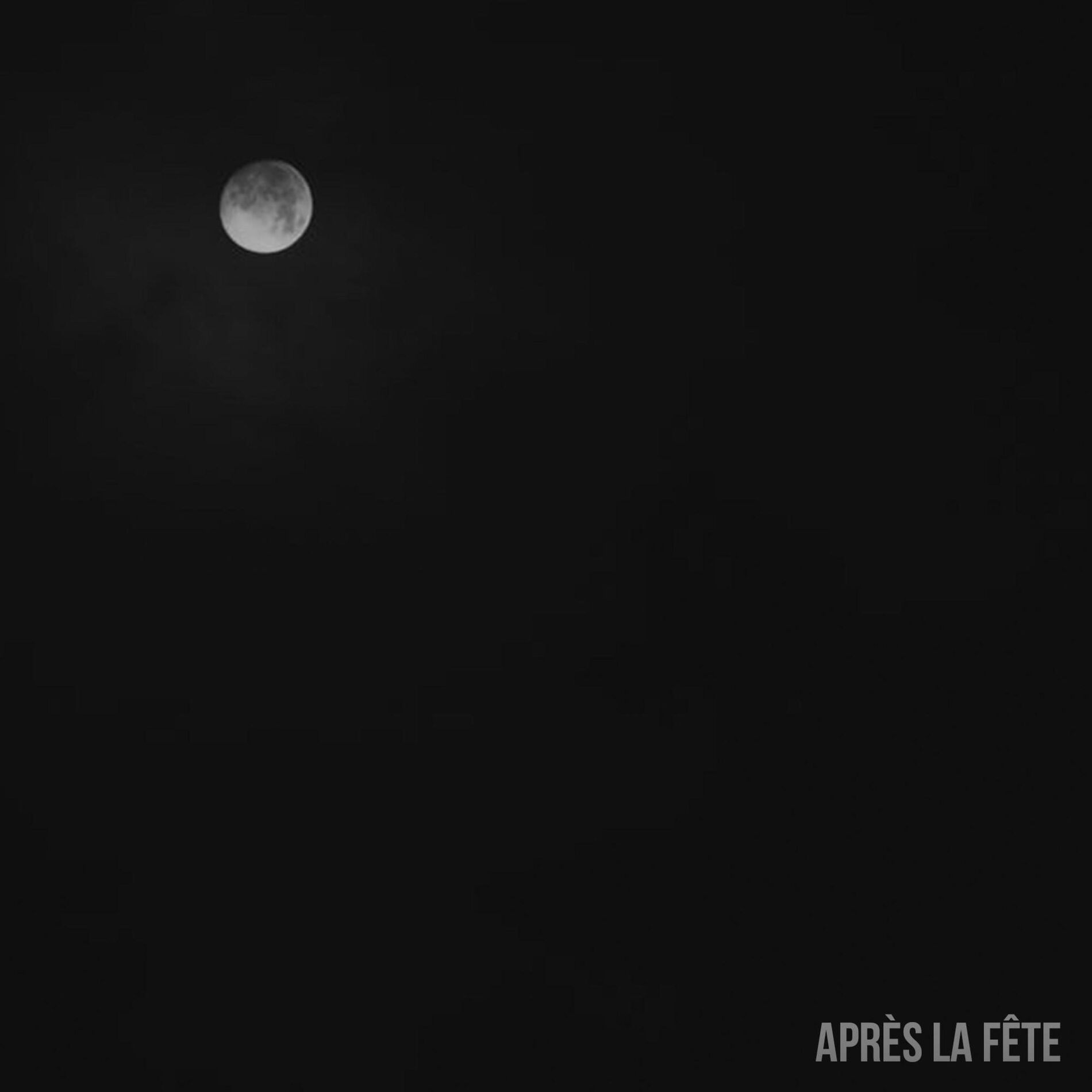 Album cover of Après la fête
