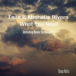 Cover of What You Need