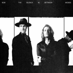 Cover of The Silence in Between