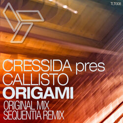 Cover of Origami